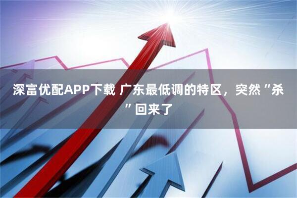 深富优配APP下载 广东最低调的特区，突然“杀”回来了