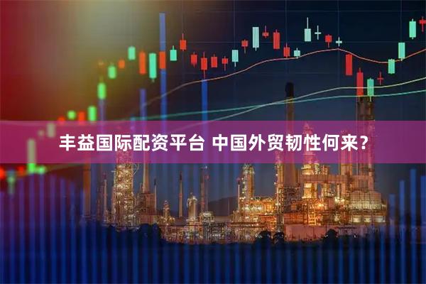 丰益国际配资平台 中国外贸韧性何来？