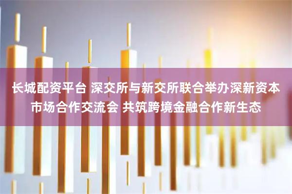 长城配资平台 深交所与新交所联合举办深新资本市场合作交流会 共筑跨境金融合作新生态